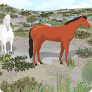 Horses on the Chaparral
